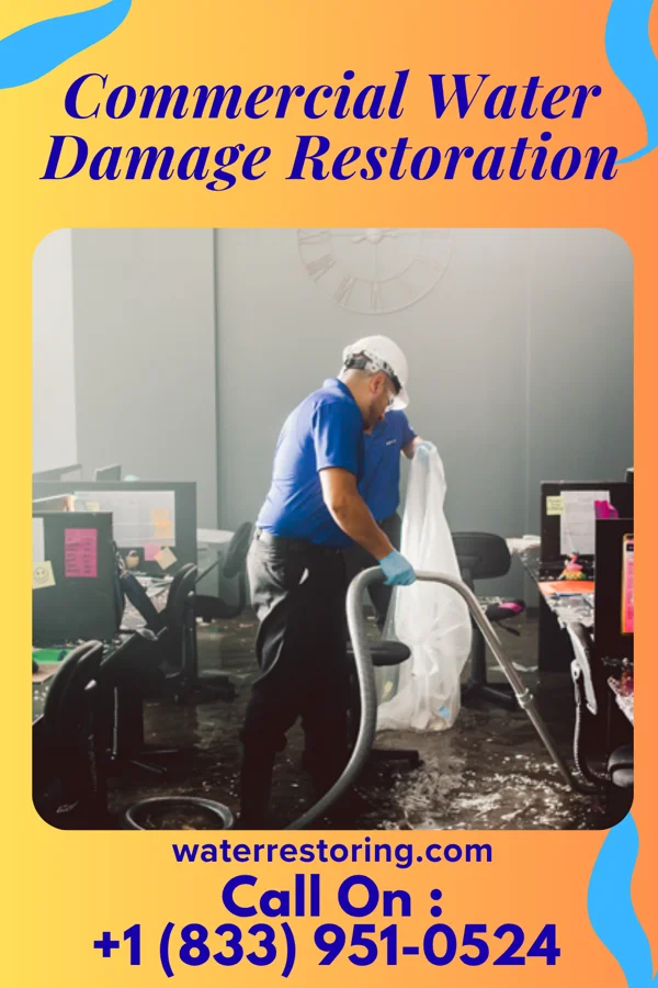 Commercial Water Damage Restoration in Portal, GA